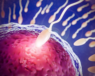 Vivid depiction of fertility triumph with a single sperm entering an ovum, representing Wellness at Umra’s infertility solutions.
